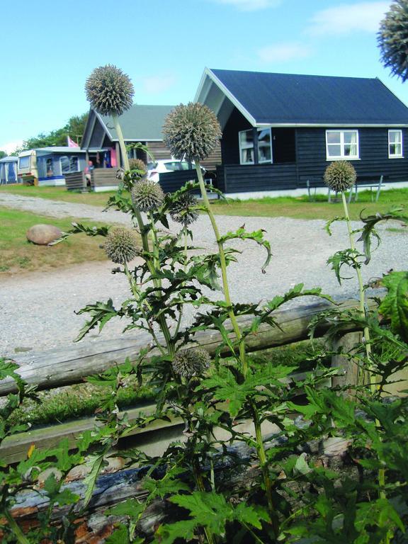 Toftum Bjerge Camping & Cottages Humlum Room photo